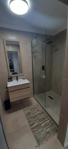 Beach ViewBeachview Guest Suites Port Elizabeth的带淋浴、盥洗盆和镜子的浴室