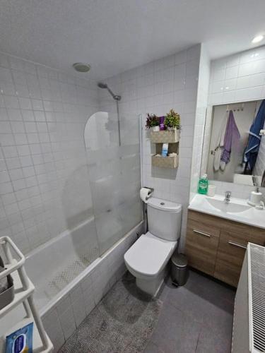 马德里Cómodo apartamento en Madrid的带淋浴、卫生间和盥洗盆的浴室