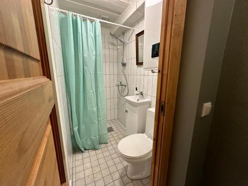 维尔扬迪Romantic hideout with parking的浴室设有卫生间和绿色淋浴帘。
