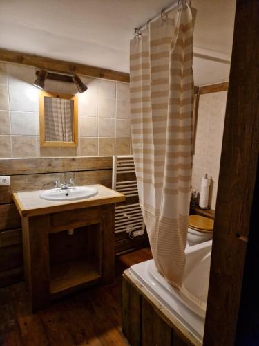 瓦勒迪泽尔Alpina Lodge Chalet By Valdiski的一间带水槽、浴缸和淋浴的浴室