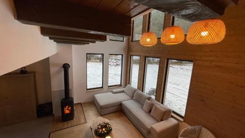 IzvoareA Sziget的带沙发的客厅和部分窗户。