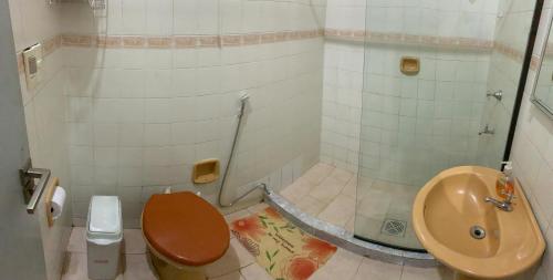 亚松森Habitación en suite, Excelente Ubicación的一间带卫生间和水槽的浴室