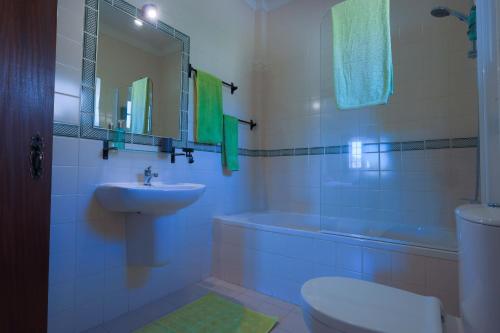 MouronhoQuinta do Rio Alva and Glamping Lodges的一间带水槽、卫生间和镜子的浴室