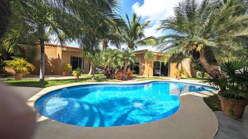 普拉亚卡门Myoli Wellness & Happiness BnB的周围是棕榈树环绕的蓝色游泳池