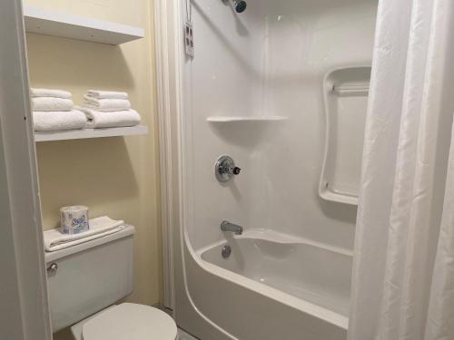 蒙马尼维尔中央酒店的浴室设有卫生间和带毛巾的淋浴。