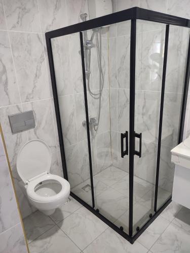 HasankeyifHasankeyf Hasbahçe Otel的设有带卫生间的浴室内的淋浴间