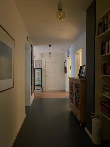 赫尔辛堡Stor lägenhet - 150 meter från havet.的一条带白色门的走廊和一间带架子的房间