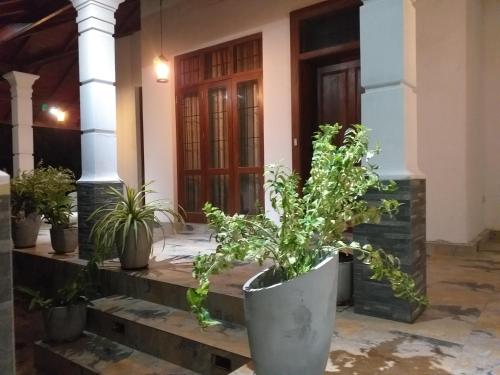 MinuwangodaBel vedere的门前的盆栽植物群