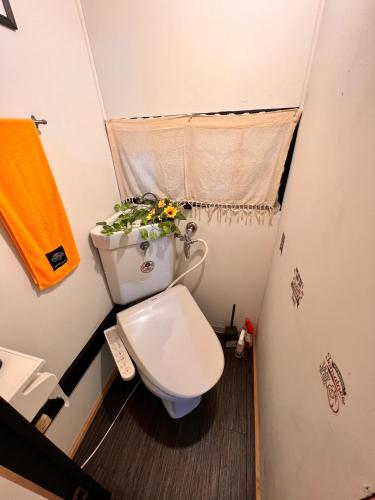 东京SnowHouse的一个小浴室,内设一个卫生间,上面有植物