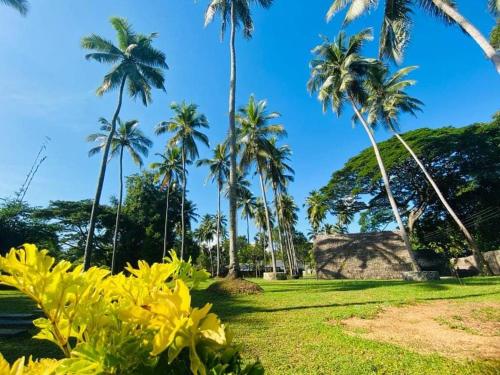 库鲁内格勒Deduru Cabana Nature Resort的草园里的一群棕榈树