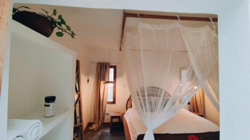 托弗海滩Hakha Beach House的一间卧室配有一张带蚊帐的床