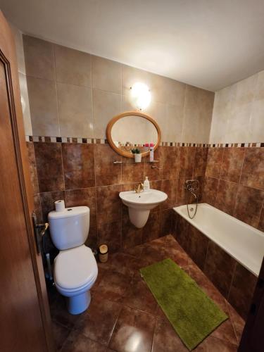 奥多尔黑塞库耶斯克Grand Central House的浴室配有卫生间、盥洗盆和浴缸。
