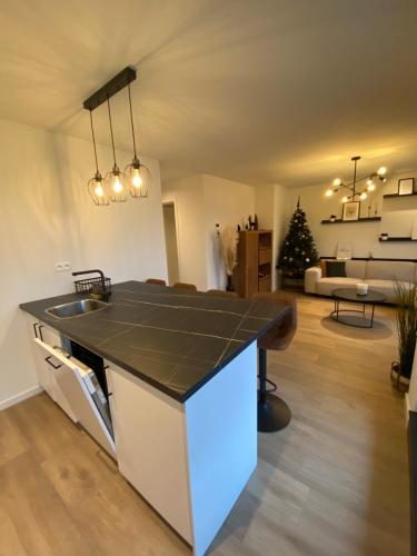 LubbeekLuxury & cozy apartment的一个带台面的厨房和一间客厅