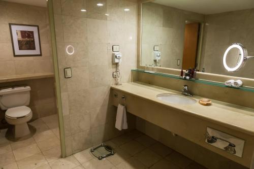 提华纳提华纳万豪酒店的一间带水槽、卫生间和镜子的浴室