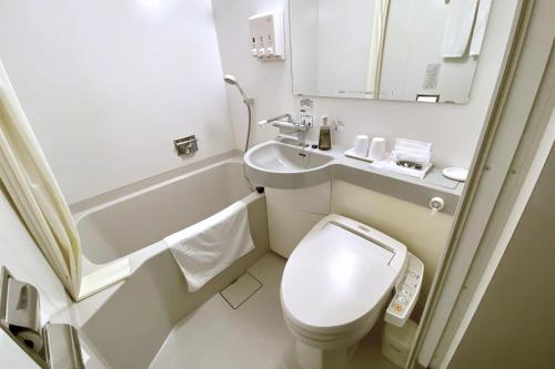 新泻新泻乡村酒店的一间带卫生间和水槽的小浴室