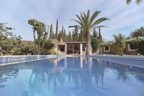 MontecristoCan Valencià的一座棕榈树大型游泳池和一座房子