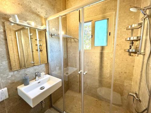 皮斯索里和魔娜斯公寓的一间带水槽和玻璃淋浴的浴室