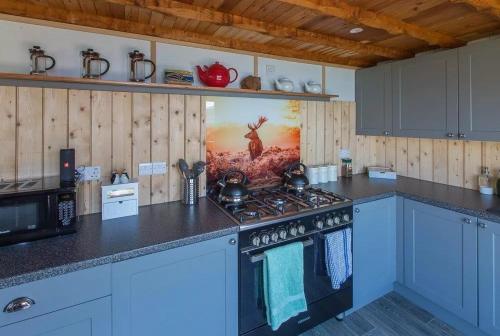 Doune Bay Lodge的厨房配有蓝色橱柜和炉灶烤箱。