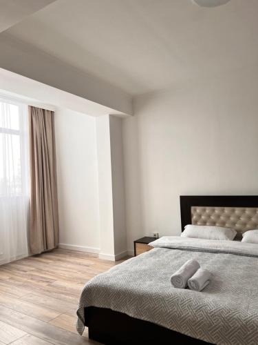 比什凯克Hyat apartment的一间卧室设有一张大床和一个窗户。