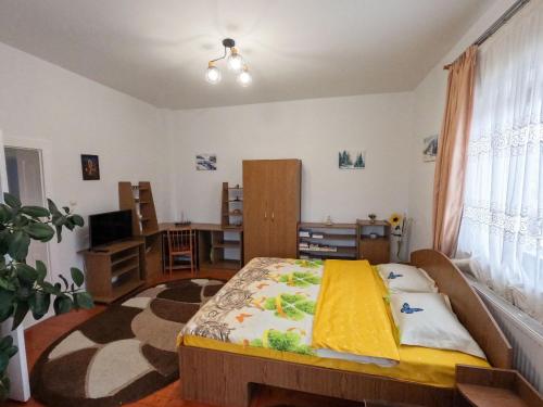 SubcetateCazare la Mitică的一间卧室设有一张床和一间客厅。