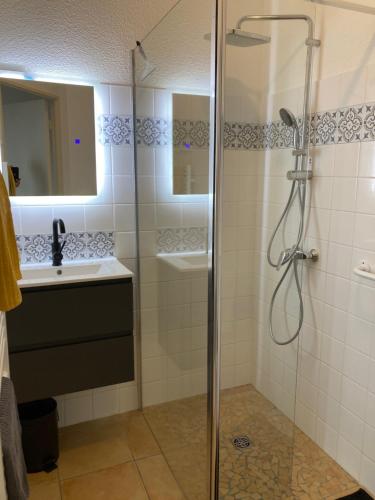 滨海苏拉克La Rosaire的带淋浴和盥洗盆的浴室