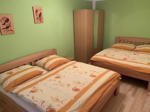伏尔塔瓦河畔利普诺Harmonie Apartment的绿墙客房内的两张床