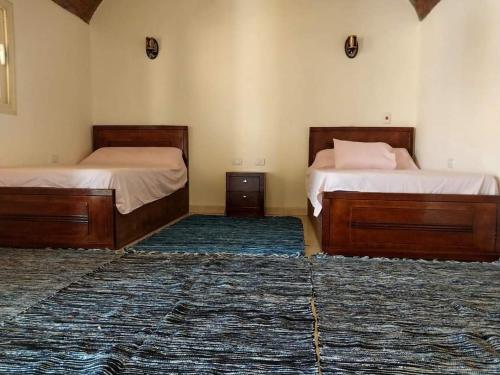 努韦巴Antika camp的两张床铺,位于一间有两块地毯的房间