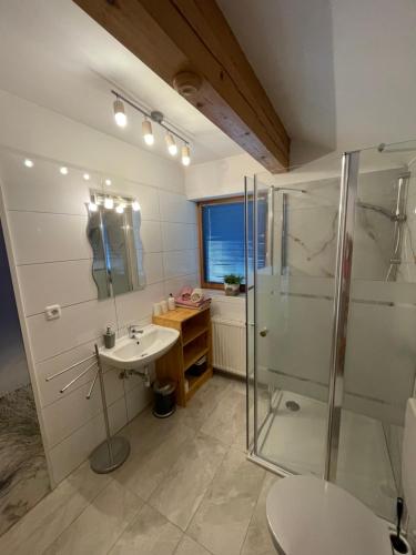 奥西亚歇尔湖畔施泰因多夫Ossiachersee Apartments的一间带水槽和淋浴的浴室
