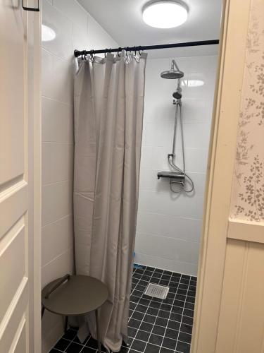 基律纳Northernlight cabin 2的浴室内配有淋浴帘。