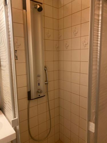 约恩苏Tilava yksiö Niinivaaralla的带淋浴的浴室和玻璃门