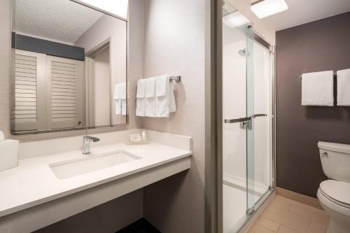 托伦斯洛杉矶托伦斯/帕洛斯弗德斯万怡酒店的一间带水槽、卫生间和镜子的浴室