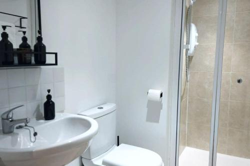 普雷斯顿2 Bedroom City Centre Duplex Apt的一间带水槽、卫生间和淋浴的浴室