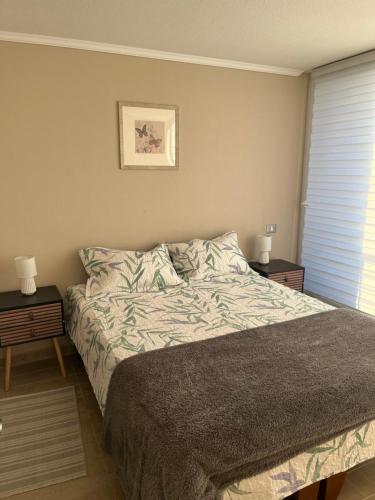 维纳德马Departamento Viña del Mar的一间卧室配有一张床、两个床头柜和两盏灯。