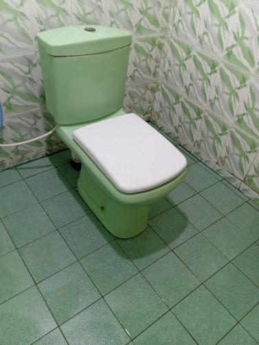 贾夫纳NMA Holiday Inn的墙上浴室的绿色厕所