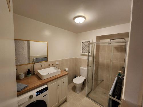 格莱内尔格Sunsets At Glenelg的浴室配有盥洗盆、卫生间和淋浴。