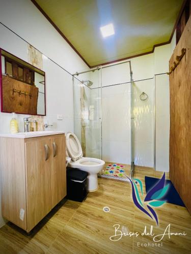 NorcasiaEcoHotel Brisas del Amani的带淋浴和卫生间的浴室。