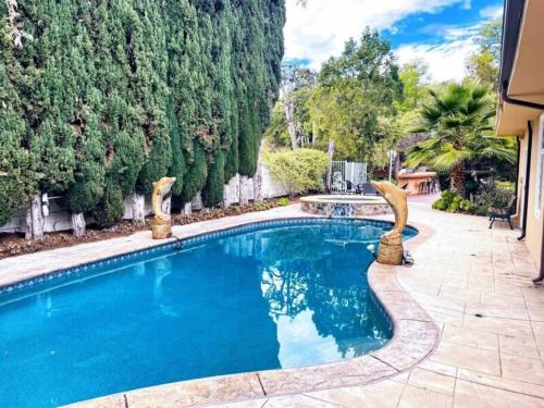 洛杉矶Charming 6BR Family Home with Private Pool -ENC-UC的一座树木繁茂的庭院内的游泳池