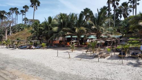 BrufutSmile Gambia Beach Bar的棕榈树沙滩和度假村