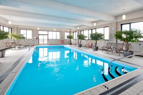 蒙特利尔公寓酒店的蓝色的大游泳池,位于酒店客房内