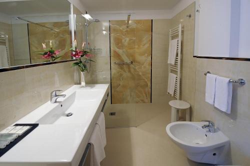 圣维托-迪卡多雷拉帝妮亚公园酒店的一间带水槽、卫生间和淋浴的浴室