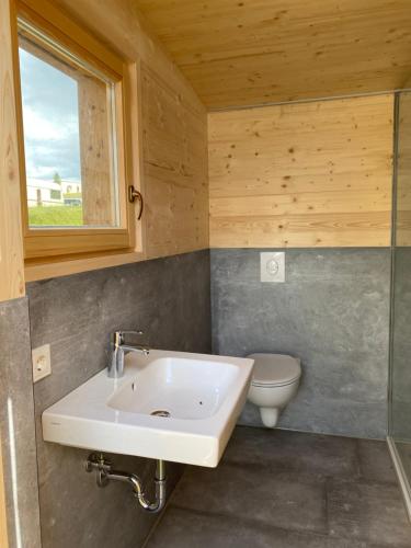 GeslauZinipi Retreat Mohrenhof的一间带水槽和卫生间的浴室