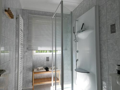 韦尔特湖畔克伦彭多夫Villa Schaller - Apartment的带淋浴的浴室和玻璃门