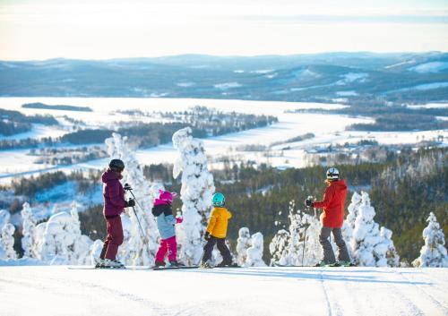 耶尔夫瑟Fin lägenhet med bastu i Järvsö!的一群站在滑雪场顶上的人