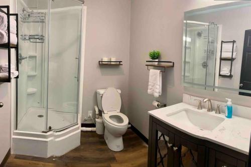 威廉波特Downtown Studio Apartment的浴室配有卫生间、淋浴和盥洗盆。