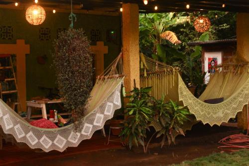 莫约加尔帕Hostal Casa Mauro的两个吊床挂在植物间