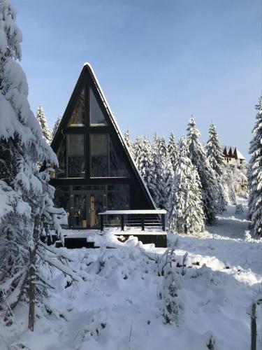 沃尔托普Black Chalet的雪中树林中的小屋