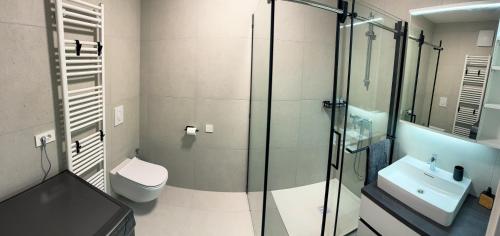 斯玛杰克托莱塞Apartma Vitalis的一间带玻璃淋浴和卫生间的浴室