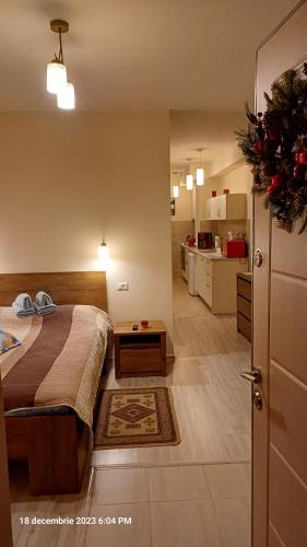 波亚纳布拉索夫Ski & Bike Residence的一间卧室配有一张床和一间厨房