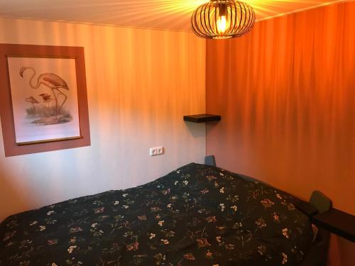 泽兰省De Tip 31 Tiny Chalet的一间卧室配有床和橙色窗帘