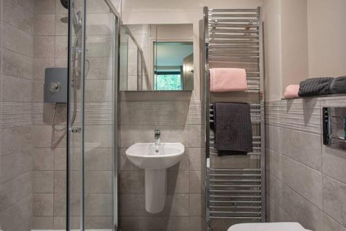 贝尔法斯特Brand New, Luxury & with Terrace的一间带水槽和淋浴的浴室
